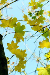 Similar image 373542