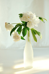 Similar image 373745