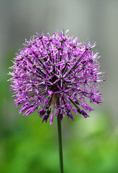 Similar image 373822