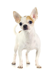 Similar image 373916