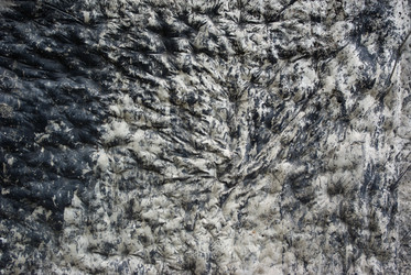 Similar image 373934