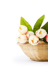 Similar image 373944