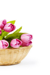 Similar image 373946