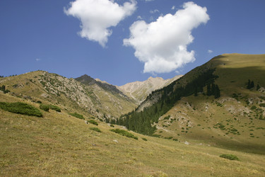 Similar image 373956