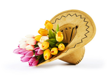 Similar image 373960