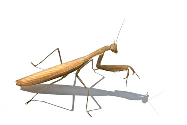 Similar image 373962