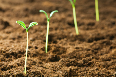 Similar image 374023