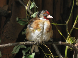 Similar image 374025