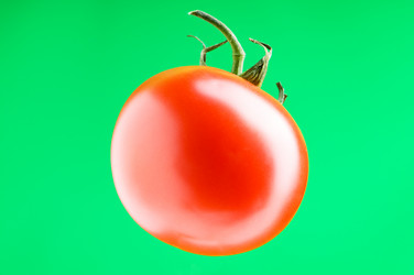 Similar image 374133