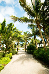 Similar image 374172