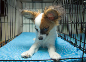 Similar image 374177