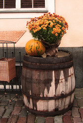 Similar image 374181