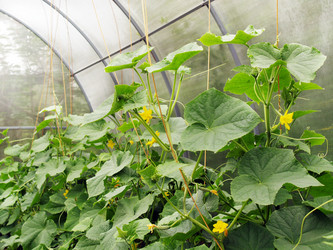 Similar image 374195