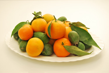 Similar image 374206