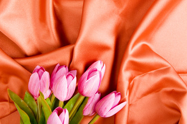 Similar image 374229