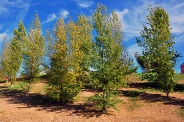 Similar image 374239