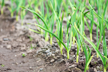 Similar image 374296