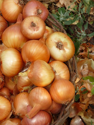 Similar image 374302