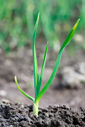 Similar image 374307