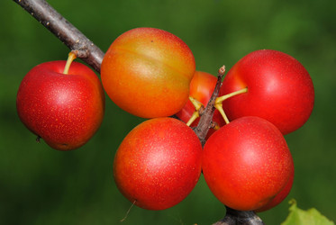 Similar image 374308