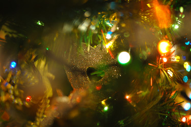 Similar image 374400