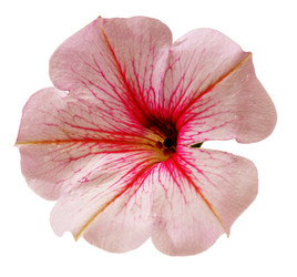 Similar image 374438