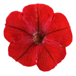 Similar image 374440