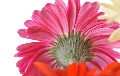 Similar image 374462