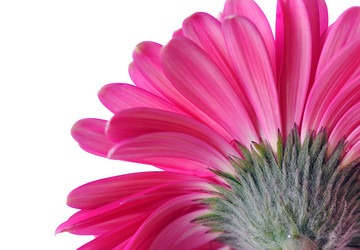 Similar image 374465