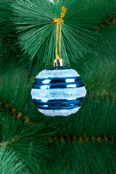 Similar image 374476