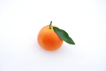 Similar image 374565