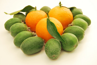 Similar image 374575