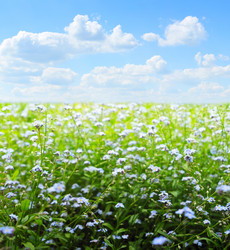 Similar image 374587