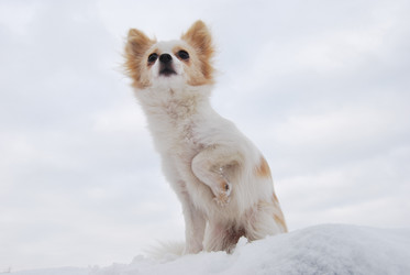 Similar image 374595