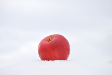 Similar image 374612