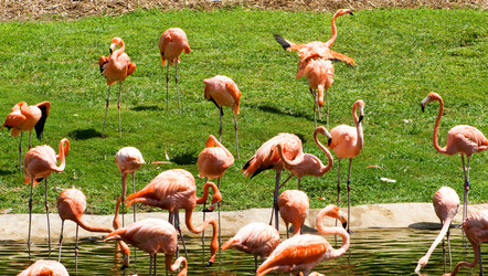 Similar image 374675