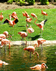 Similar image 374678