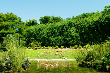 Similar image 374679