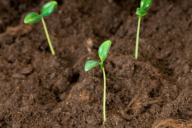 Similar image 374774