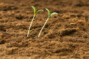 Similar image 374776