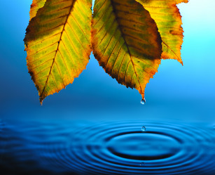 Similar image 374796