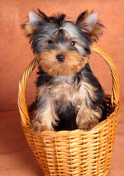 Similar image 374826