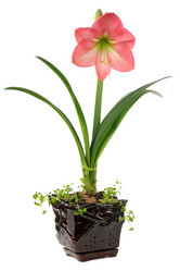 Similar image 374831