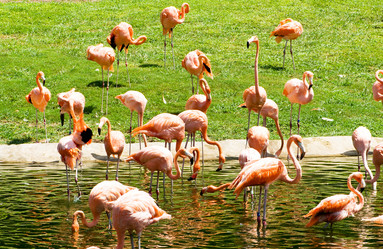 Similar image 374853