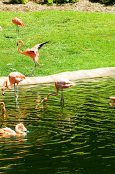 Similar image 374854