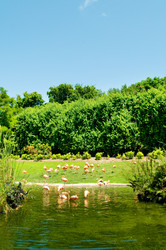 Similar image 374860