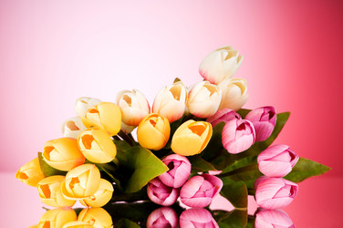 Similar image 374976