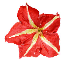 Similar image 374994