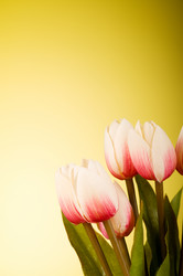 Similar image 375004