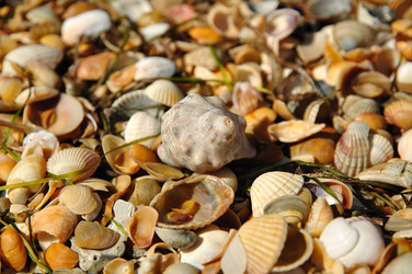 Similar image 375031